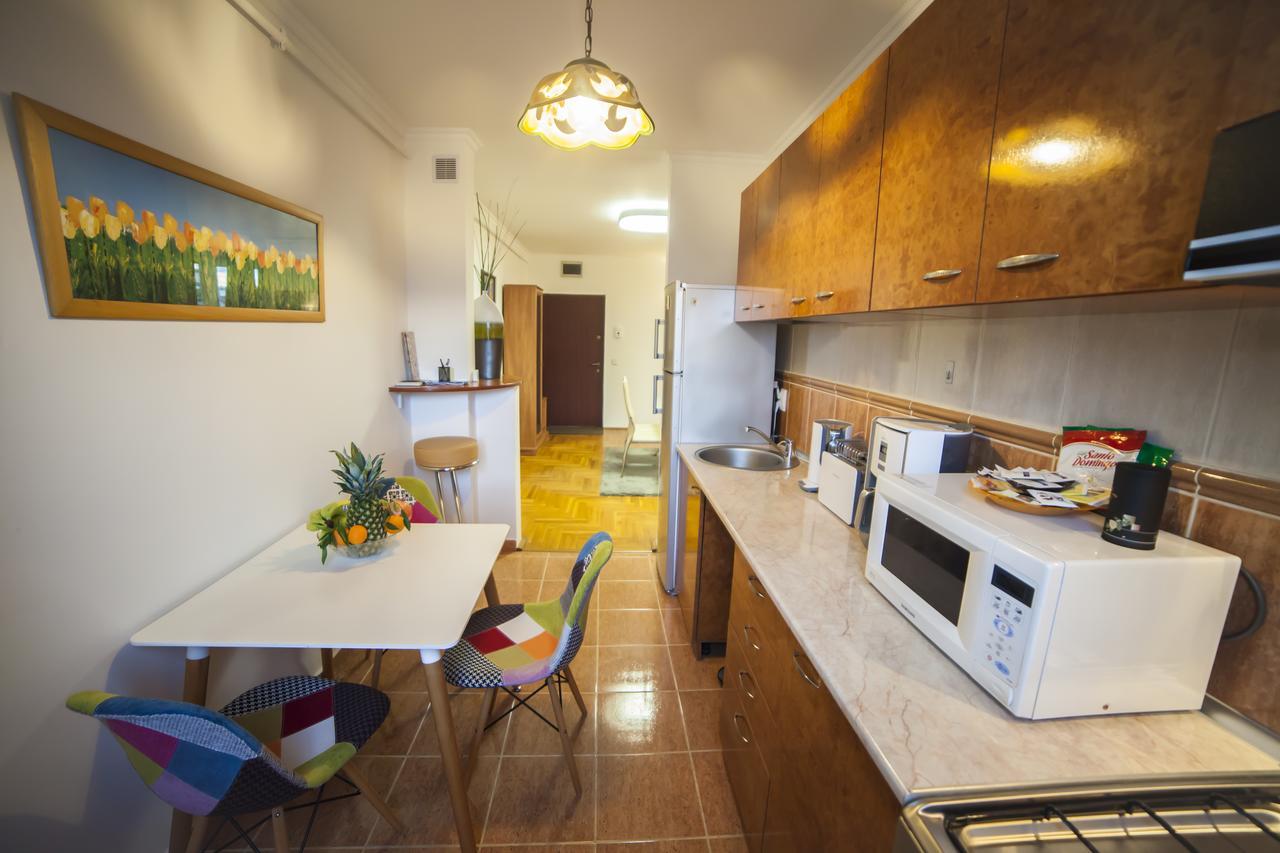 Business Class Apartment Cluj Napoca Bagian luar foto