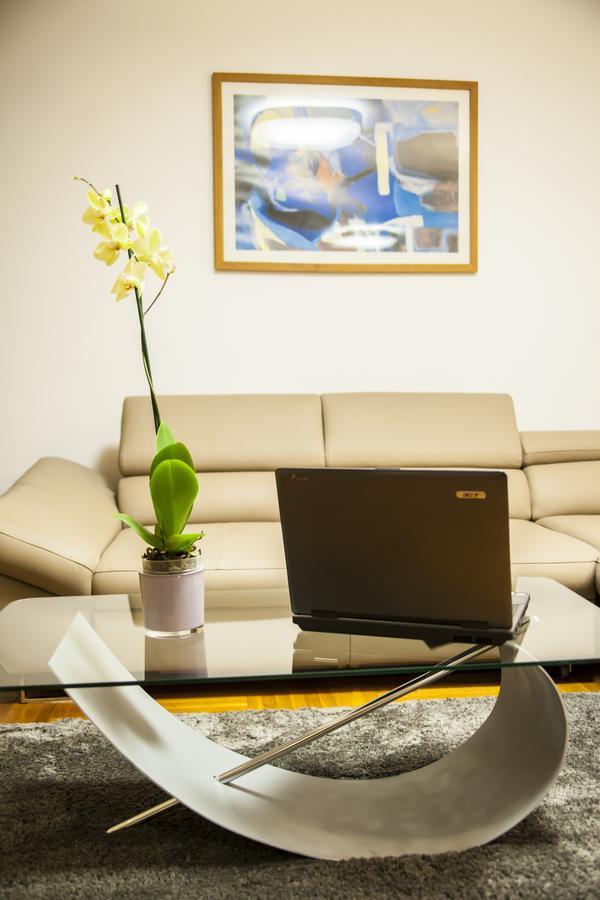 Business Class Apartment Cluj Napoca Bagian luar foto